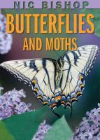 Nic_Bishop_butterflies_and_moths