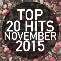 Top_20_Hits_November_2015