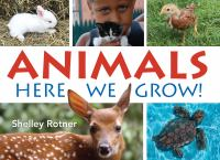 Animals__here_we_grow