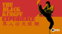 Black_Kung_Fu_experience