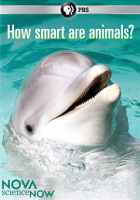 How_Smart_are_Animals_