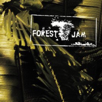 Forest_Jam_Sessions_2014-2016