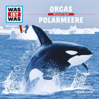 50__Orcas___Polarmeere
