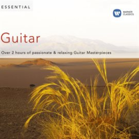 Essential_Guitar