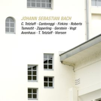 J_S__Bach__Brandenburg_Concerto_No__6_in_B-Flat_Major__BWV_1051__Sonata_for_Viola_da_Gamba_in_G_M