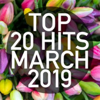 Top_20_Hits_March_2019__Instrumental_