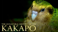 The_Unnatural_History_of_the_Kakapo