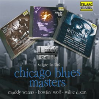 A_Salute_To_The_Chicago_Blues_Masters