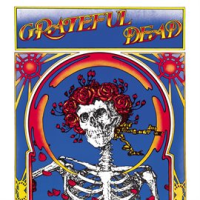 Grateful_Dead__Skull___Roses_