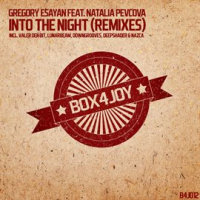 Into_The_Night__Remixes_