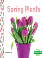 Spring_Plants