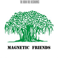 Magnetic_Friends