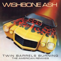 Twin_Barrels_Burning__The_American_Remixes