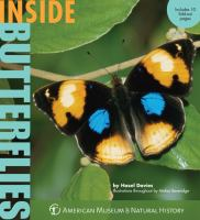Inside_butterflies