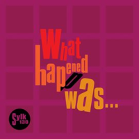 What_Happened_Was