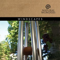 Windscapes