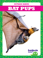 Bat_Pups