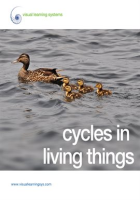 Cycles_in_Living_Things