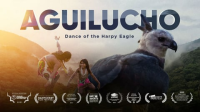 Aguilucho__Dance_of_the_Harpy_Eagle