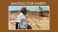 Waiting_for_Harry