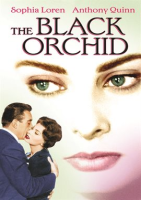 The_Black_Orchid