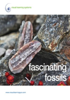 Fascinating_Fossils_-_Spanish