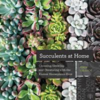 Succulents_at_home