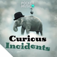 Curious_Incidents