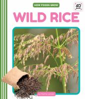 Wild_rice