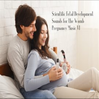 Scientific_Fetal_Development_Sounds_for_the_Womb_Pregnancy_Music_VI