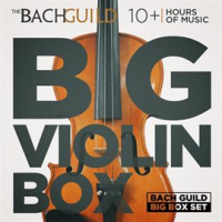 Big_Violin_Box
