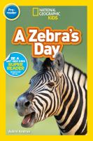 A_zebra_s_day