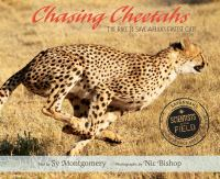 Chasing_cheetahs