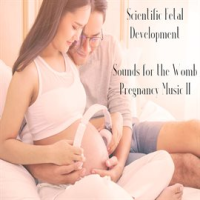 Scientific_Fetal_Development_Sounds_for_the_Womb_Pregnancy_Music_II