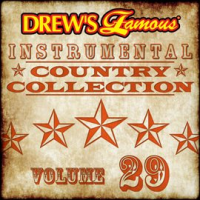 Drew_s_Famous_Instrumental_Country_Collection__Vol__29_