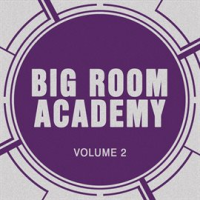 Big_Room_Academy__Vol__2