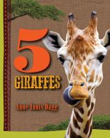 5_giraffes