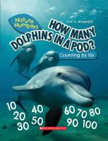 How_many_dolphins_in_a_pod_