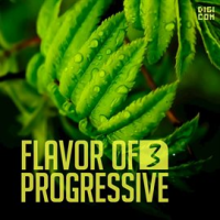 Flavor_Of_Progressive_03