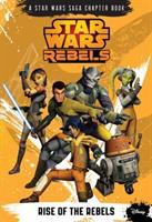 Rise_of_the_rebels