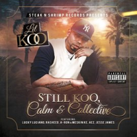 Still_Koo__Calm___Collective