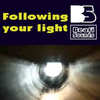 Following_Your_Light