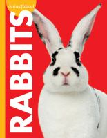Curious_about_rabbits