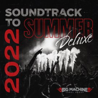 Soundtrack_To_Summer_2022