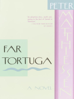 Far_Tortuga