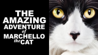 The_Amazing_Adventure_of_Marchello_the_Cat