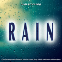 Rain_Nature_Sounds__Calm_Relaxing_Gentle_Sounds_of_Rain_for_Natural_Sleep_Aid_Spa_Meditation_and_Dee