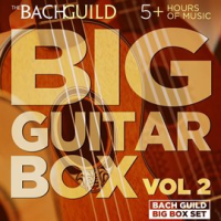 Big_Guitar_Box_2