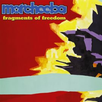 Fragments_of_Freedom